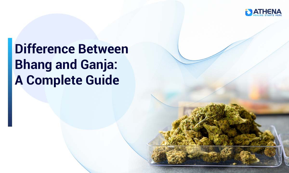 Bhang vs Ganja: Complete Guide to Their Differences